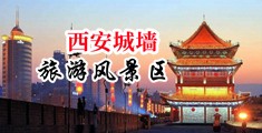 日本荡妇全裸体被大鸡巴操爆中国陕西-西安城墙旅游风景区